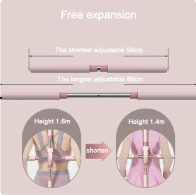 The Ultimate Back Tool